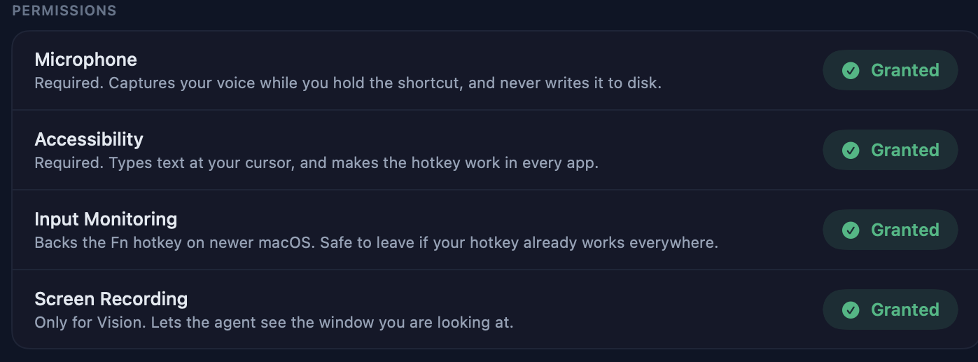 Settings, Permissions group: four live chips, all granted