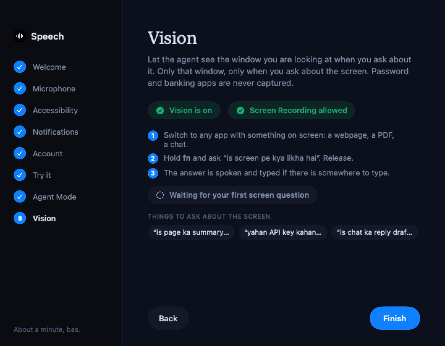 Setup, step 8: Vision on, Screen Recording allowed, one screen question to try